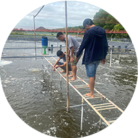 hỗ trợ kỹ thuật