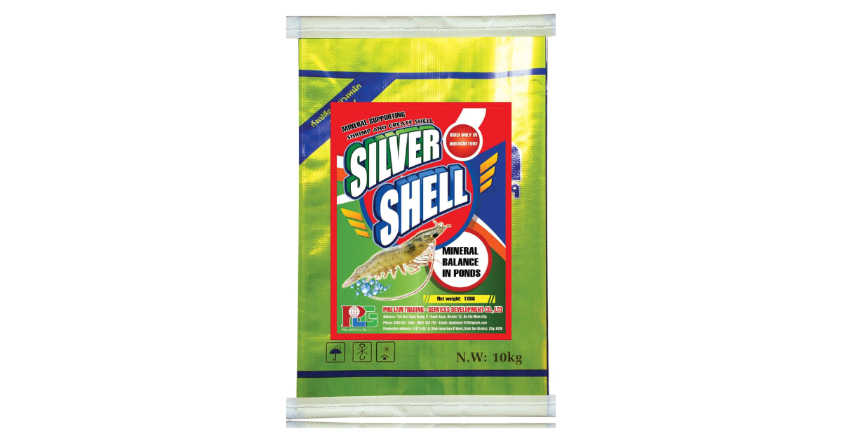 SILVER SHELL