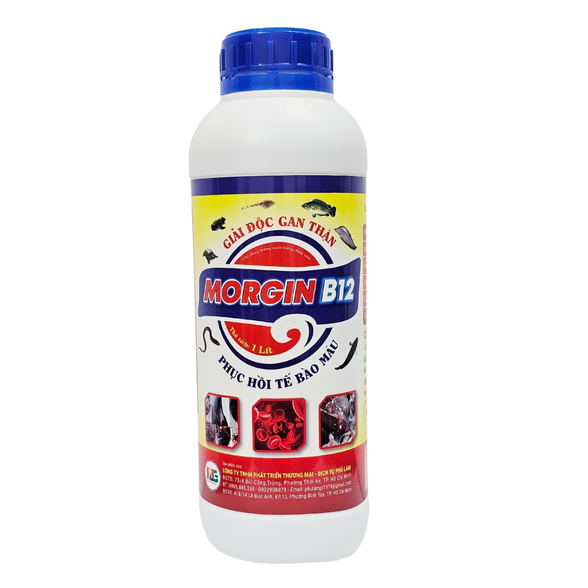 MORGIN B12