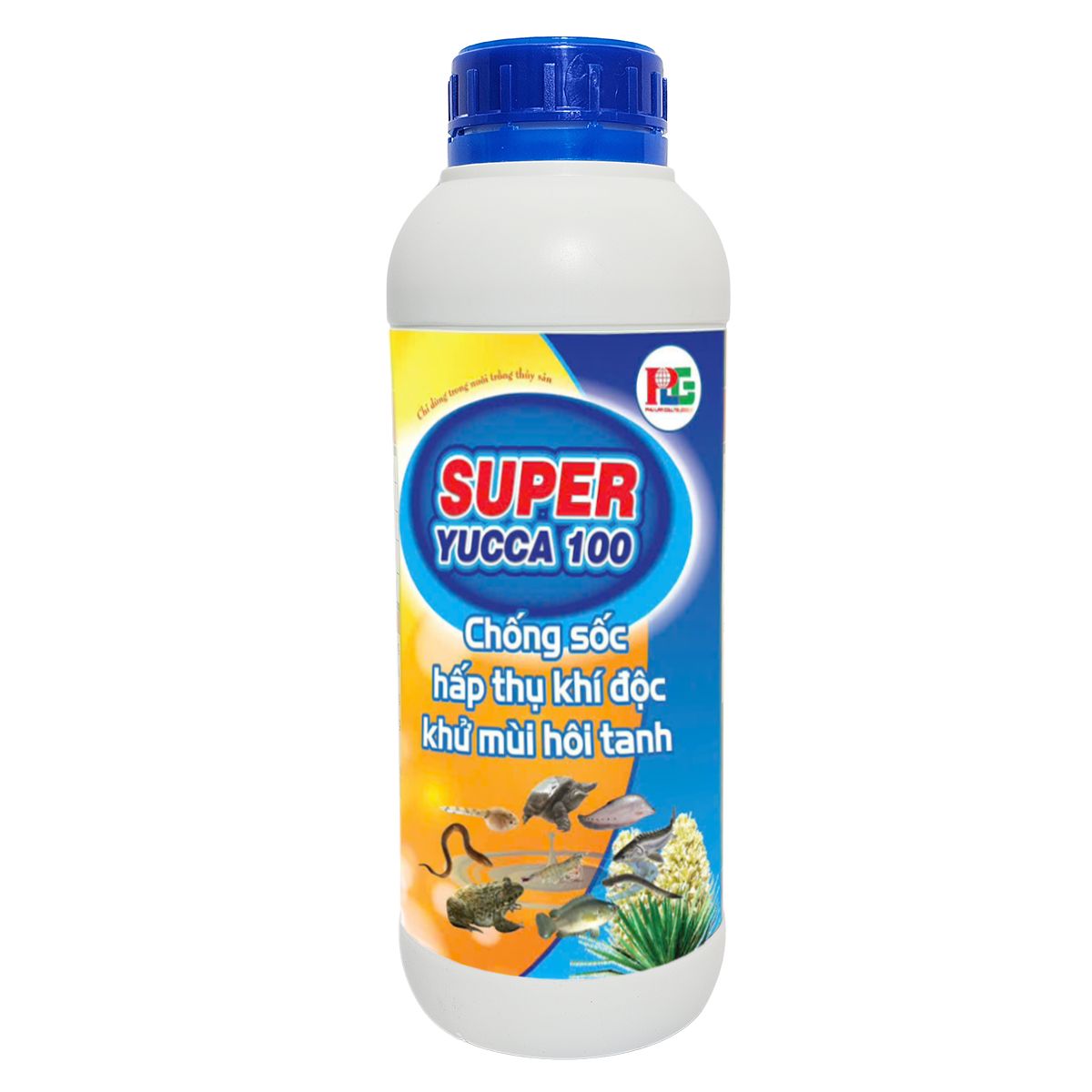 SUPPER YUCCA 100