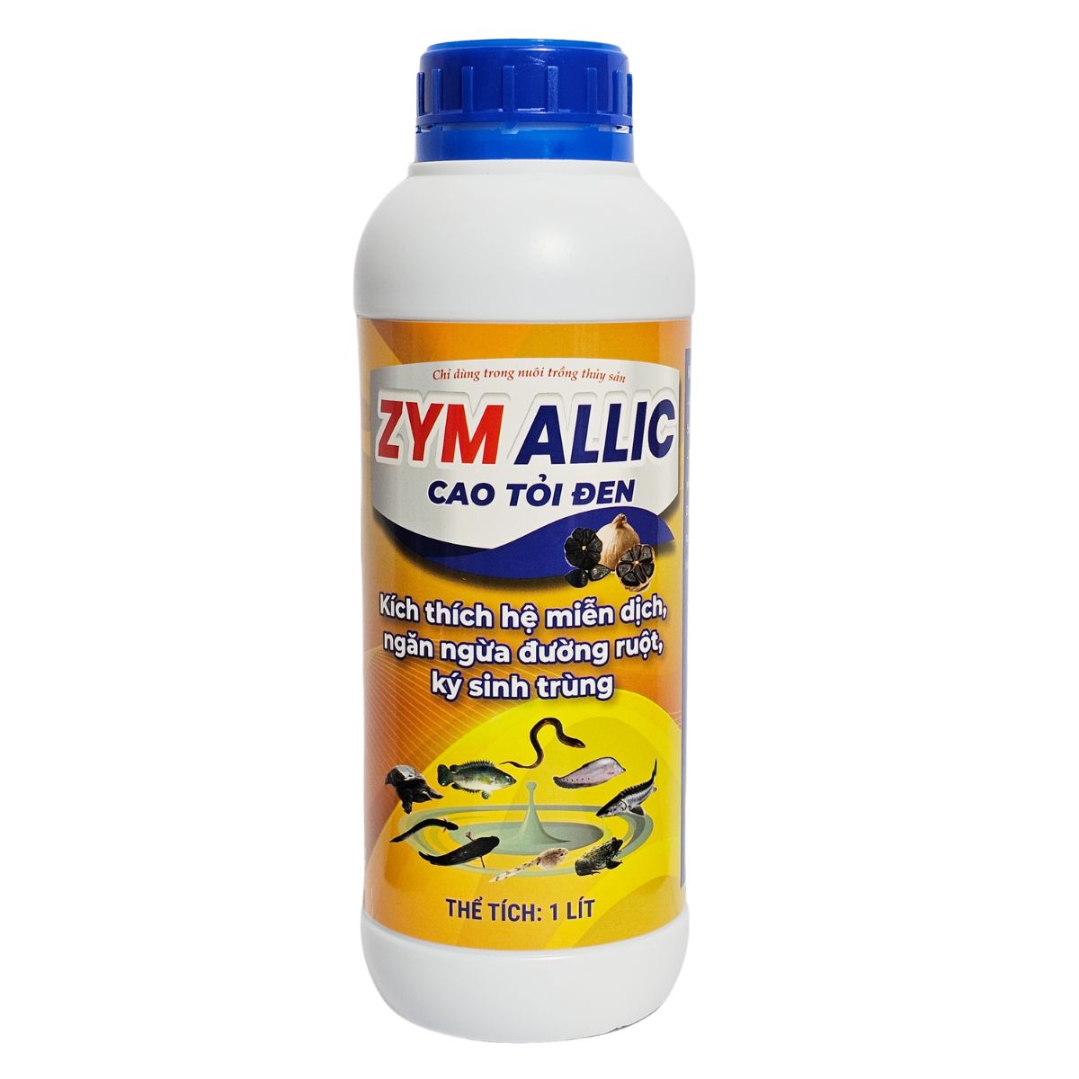 ZYM ALLIC